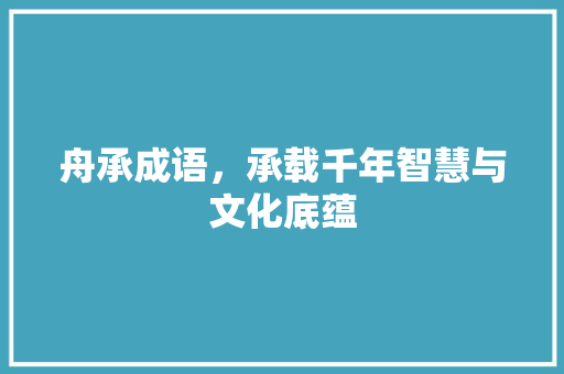 舟承成语，承载千年智慧与文化底蕴