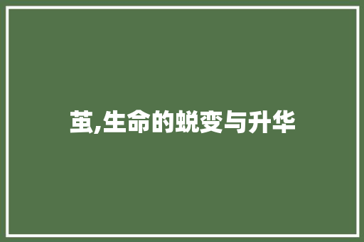 茧,生命的蜕变与升华