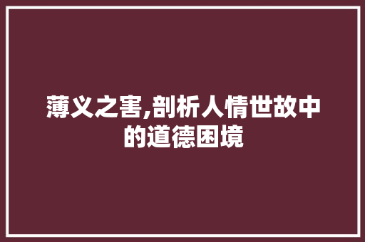 薄义之害,剖析人情世故中的道德困境 短语