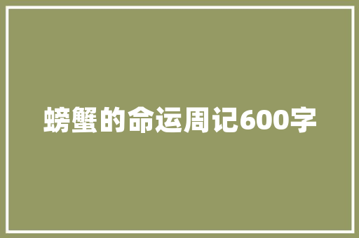 考研之路,从规划到方法，铸就辉煌未来