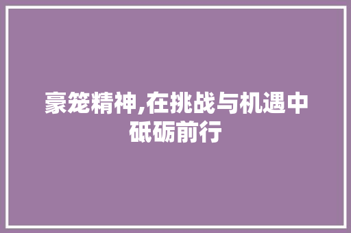 豪笼精神,在挑战与机遇中砥砺前行