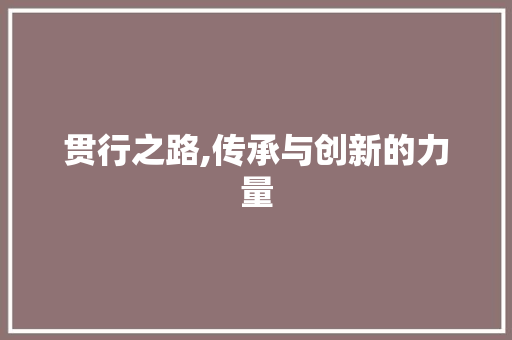 贯行之路,传承与创新的力量 汉字拼音