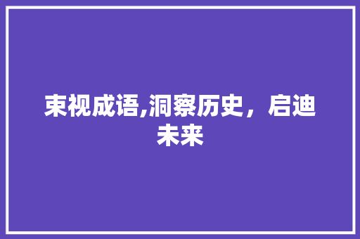 束视成语,洞察历史，启迪未来