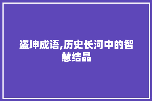 盗坤成语,历史长河中的智慧结晶
