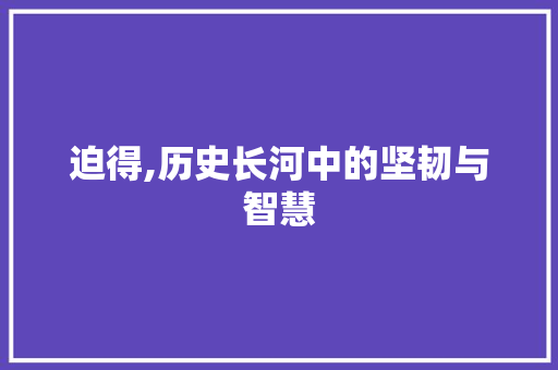 迫得,历史长河中的坚韧与智慧