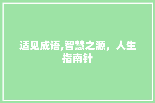 适见成语,智慧之源，人生指南针