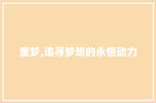 重梦,追寻梦想的永恒动力