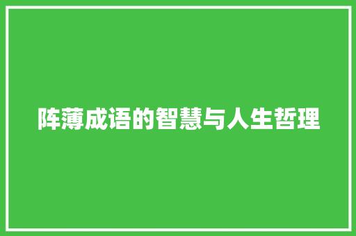 阵薄成语的智慧与人生哲理