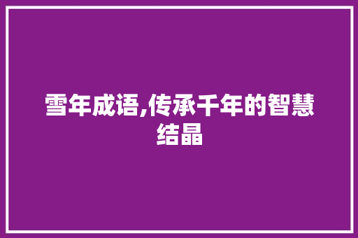 雪年成语,传承千年的智慧结晶