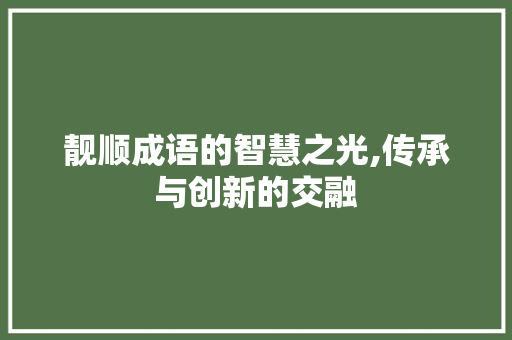 靓顺成语的智慧之光,传承与创新的交融