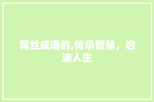 髯丝成语的,传承智慧，启迪人生