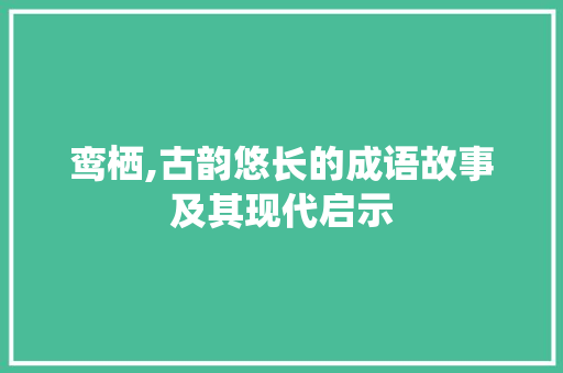 鸾栖,古韵悠长的成语故事及其现代启示 反义词汇