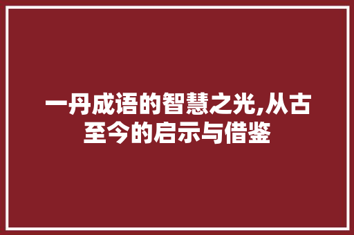 一丹成语的智慧之光,从古至今的启示与借鉴