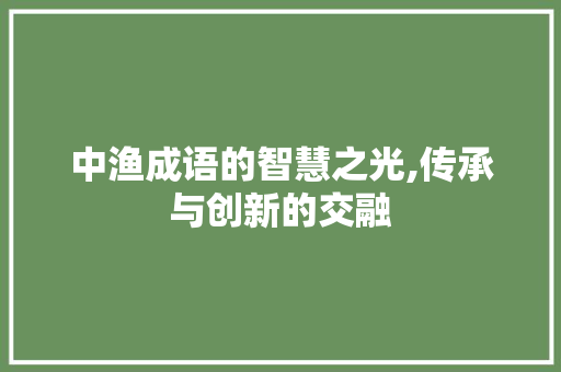 中渔成语的智慧之光,传承与创新的交融