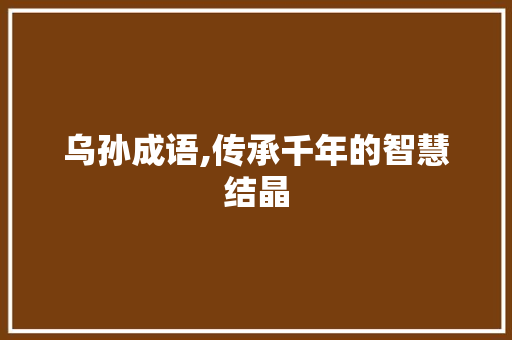 乌孙成语,传承千年的智慧结晶 问答