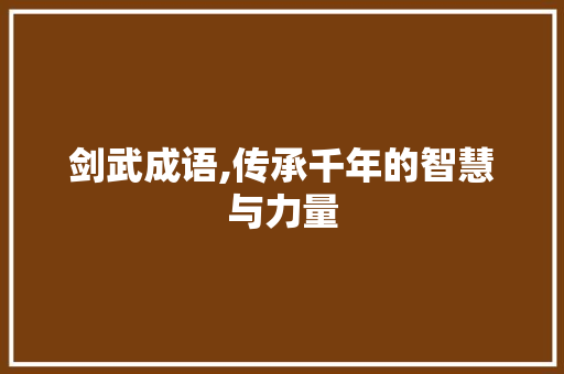 剑武成语,传承千年的智慧与力量