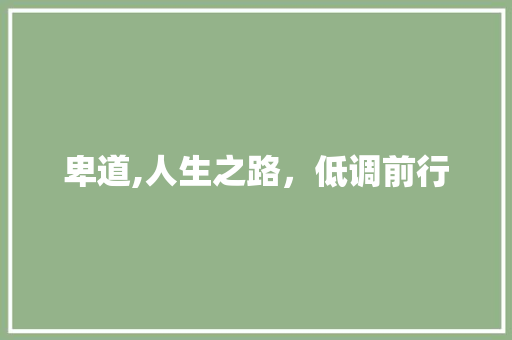 卑道,人生之路，低调前行