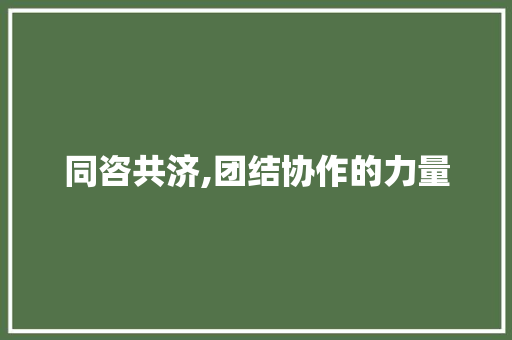 同咨共济,团结协作的力量