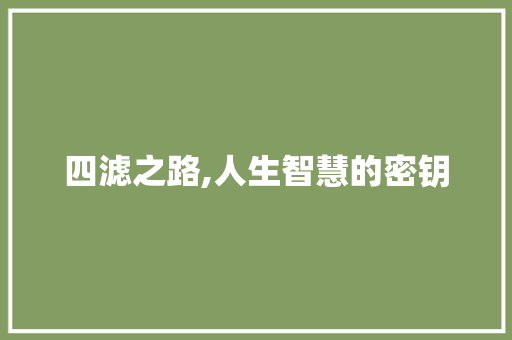 四滤之路,人生智慧的密钥