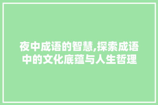 夜中成语的智慧,探索成语中的文化底蕴与人生哲理