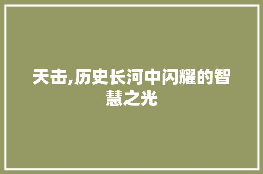 天击,历史长河中闪耀的智慧之光