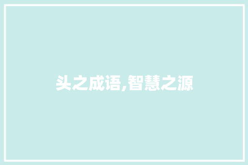 头之成语,智慧之源