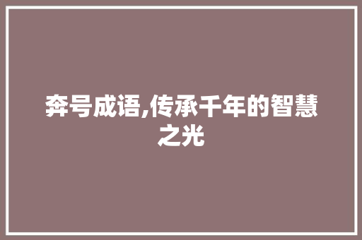 奔号成语,传承千年的智慧之光