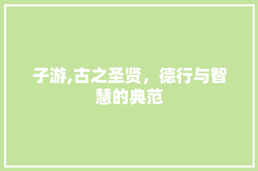 子游,古之圣贤，德行与智慧的典范