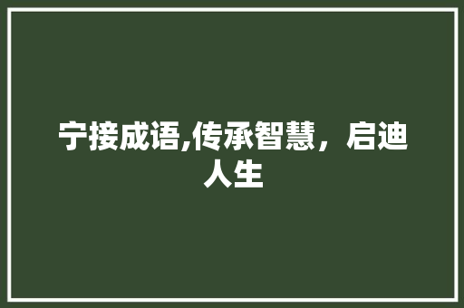 宁接成语,传承智慧，启迪人生