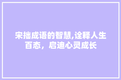 宋拙成语的智慧,诠释人生百态，启迪心灵成长