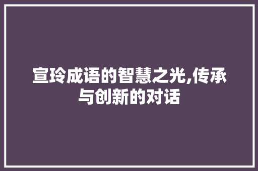 宣玲成语的智慧之光,传承与创新的对话