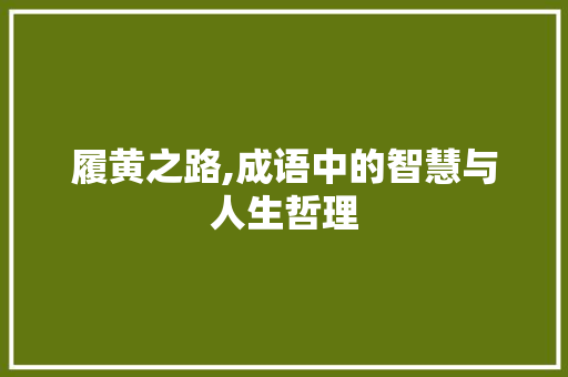 履黄之路,成语中的智慧与人生哲理