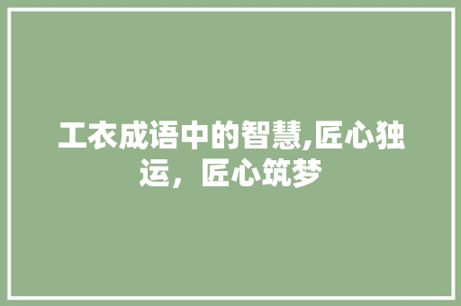 工衣成语中的智慧,匠心独运，匠心筑梦