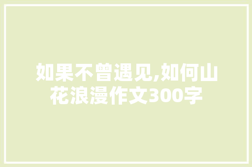聚焦创新，打造未来_某创业项目计划书详细介绍