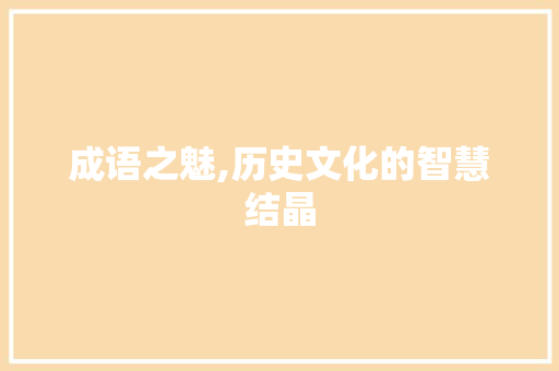 成语之魅,历史文化的智慧结晶