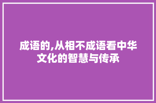 成语的,从相不成语看中华文化的智慧与传承