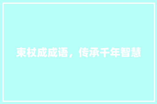 束杖成成语，传承千年智慧