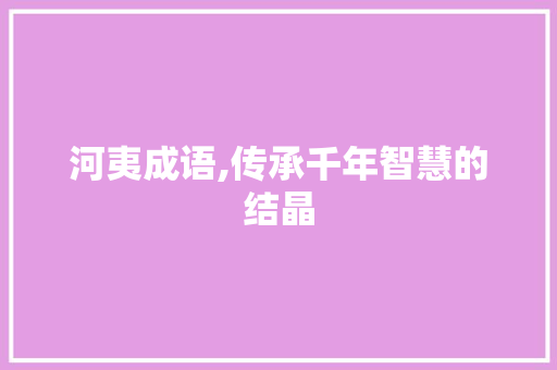 河夷成语,传承千年智慧的结晶