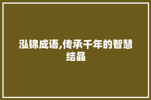 泓锦成语,传承千年的智慧结晶