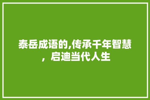 泰岳成语的,传承千年智慧，启迪当代人生