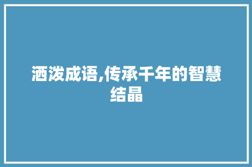 洒泼成语,传承千年的智慧结晶