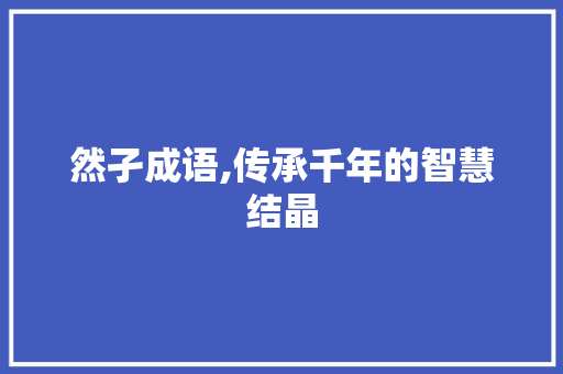 然孑成语,传承千年的智慧结晶