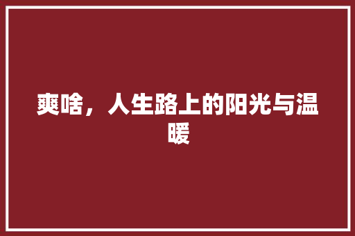 爽啥，人生路上的阳光与温暖