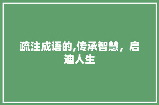 疏注成语的,传承智慧，启迪人生