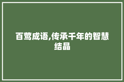 百莺成语,传承千年的智慧结晶