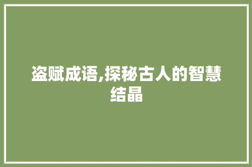 盗赋成语,探秘古人的智慧结晶