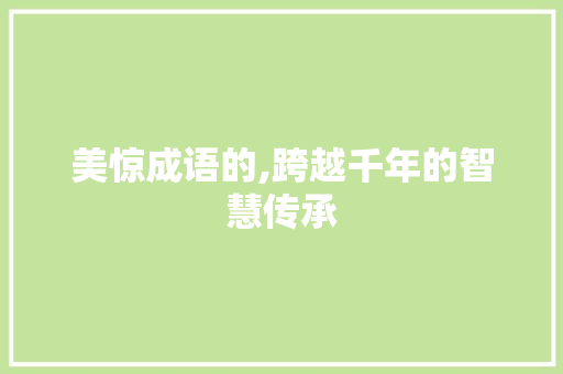 美惊成语的,跨越千年的智慧传承