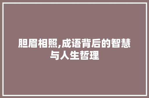胆眉相照,成语背后的智慧与人生哲理