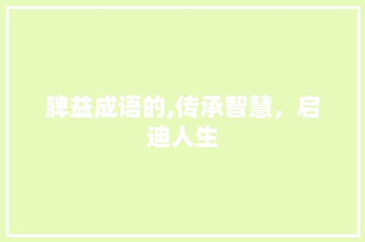 脾益成语的,传承智慧，启迪人生