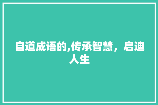 自道成语的,传承智慧，启迪人生